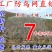 【推荐】大棚防虫网、养殖专用网、防鸟网出口厂家直销