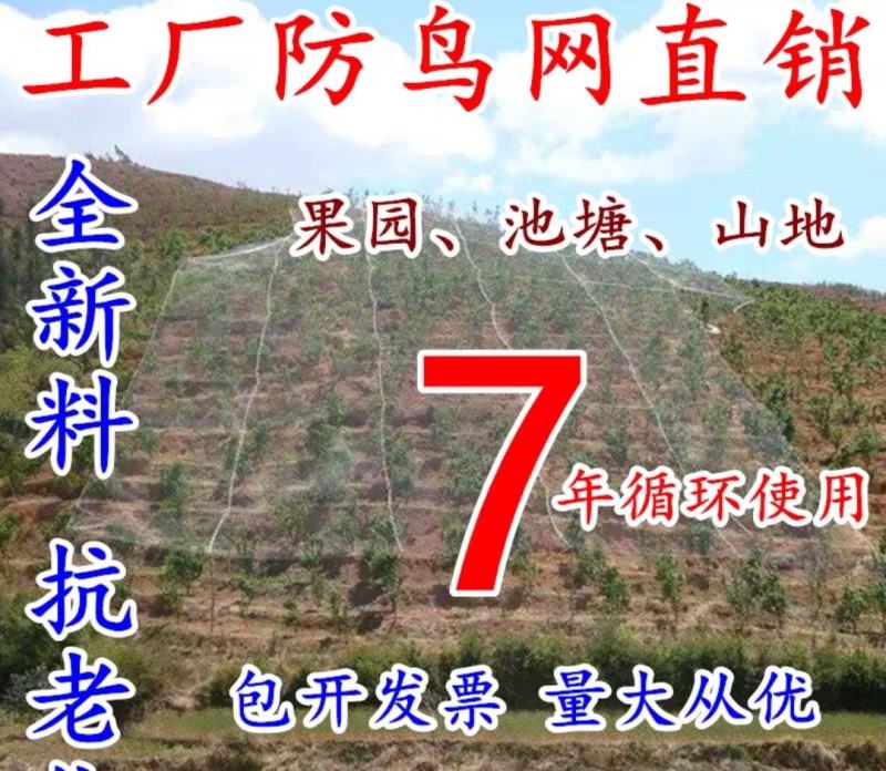 【推荐】大棚防虫网、养殖专用网、防鸟网出口厂家直销