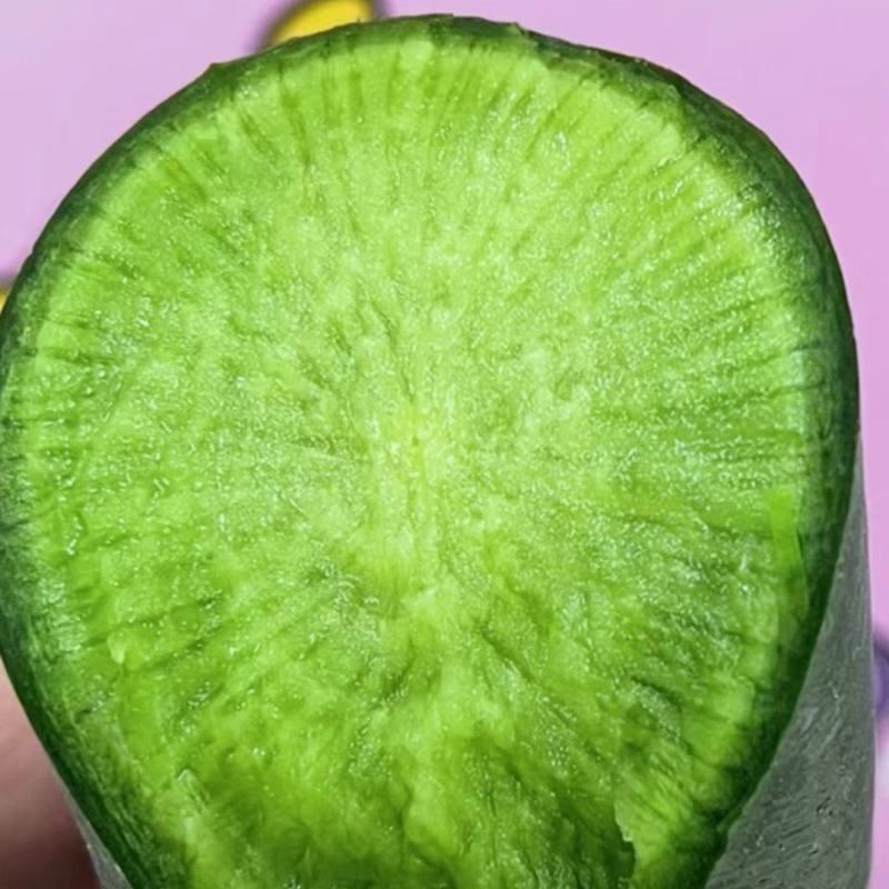 萝卜潍县萝卜青萝卜水果萝卜大量有货潍县青萝卜潍坊萝卜