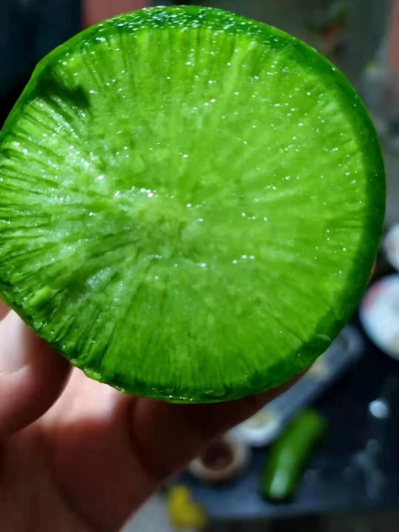 萝卜潍县萝卜青萝卜水果萝卜大量有货潍县青萝卜潍坊萝卜