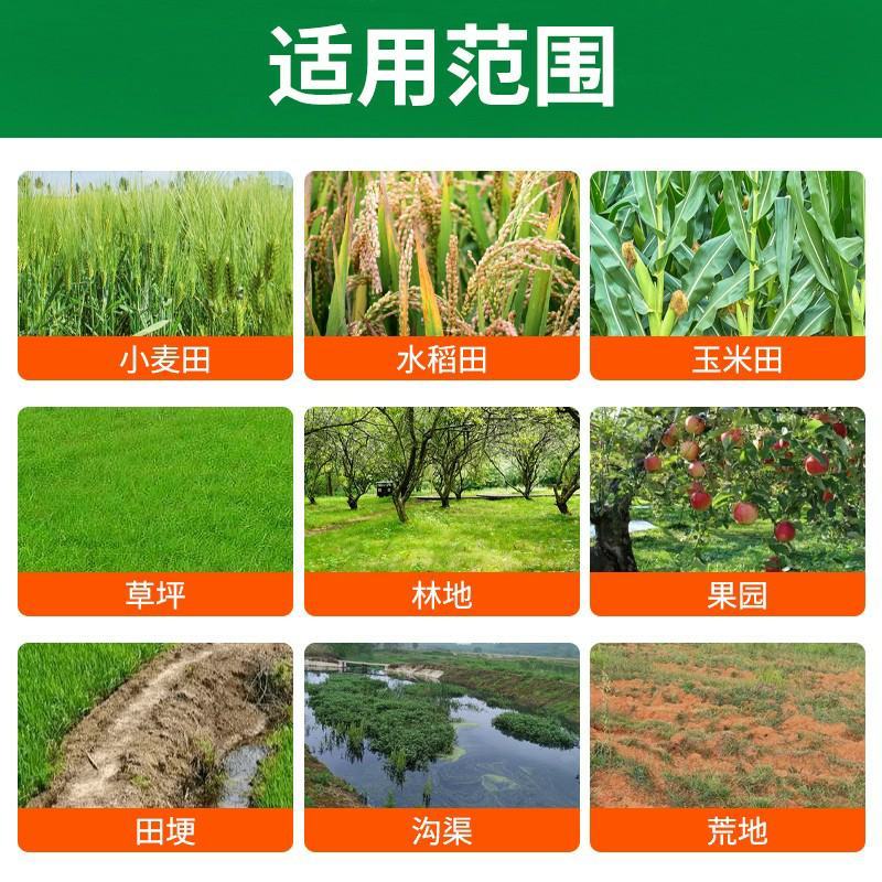 氯氟吡氧乙酸水花生猪殃殃空心莲子草水葫芦阔叶杂草除草剂