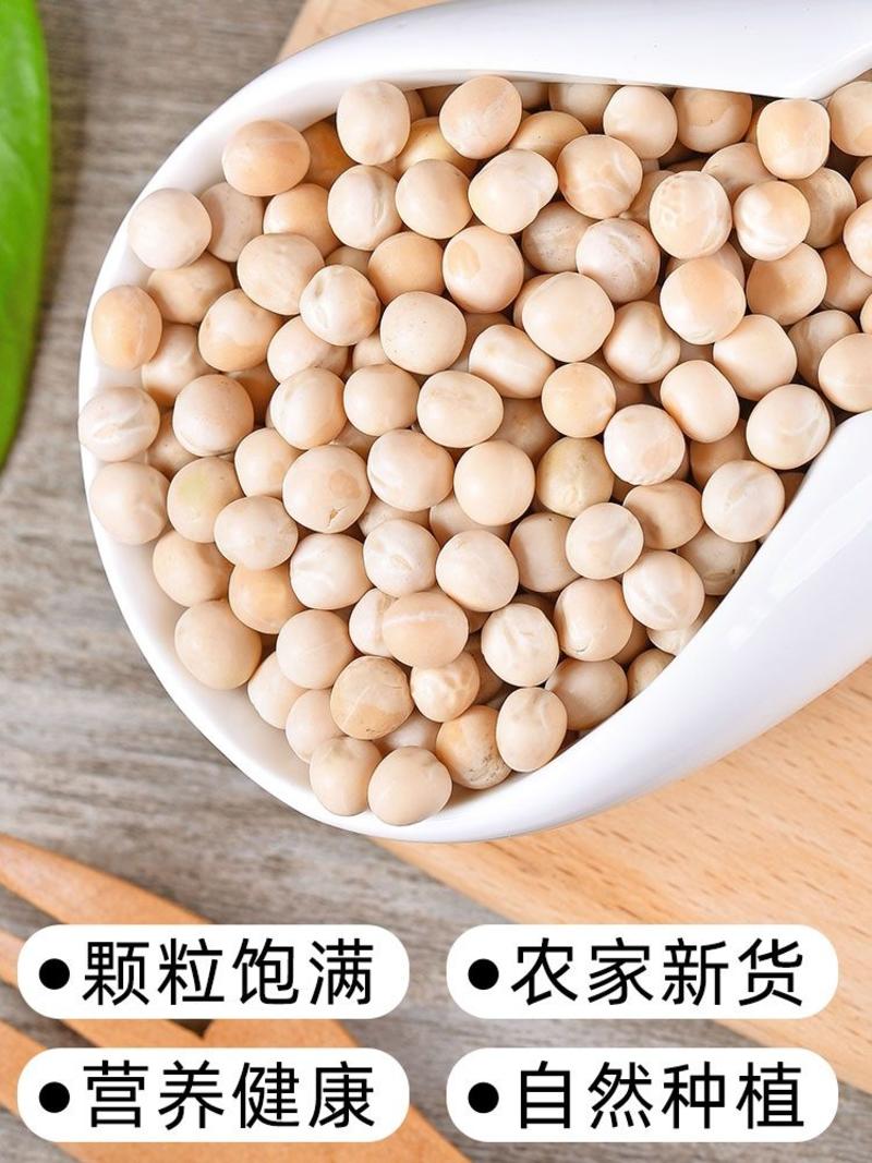 农家自产豌豆干货新货胡豆小蚕豆精选无杂物可作种子