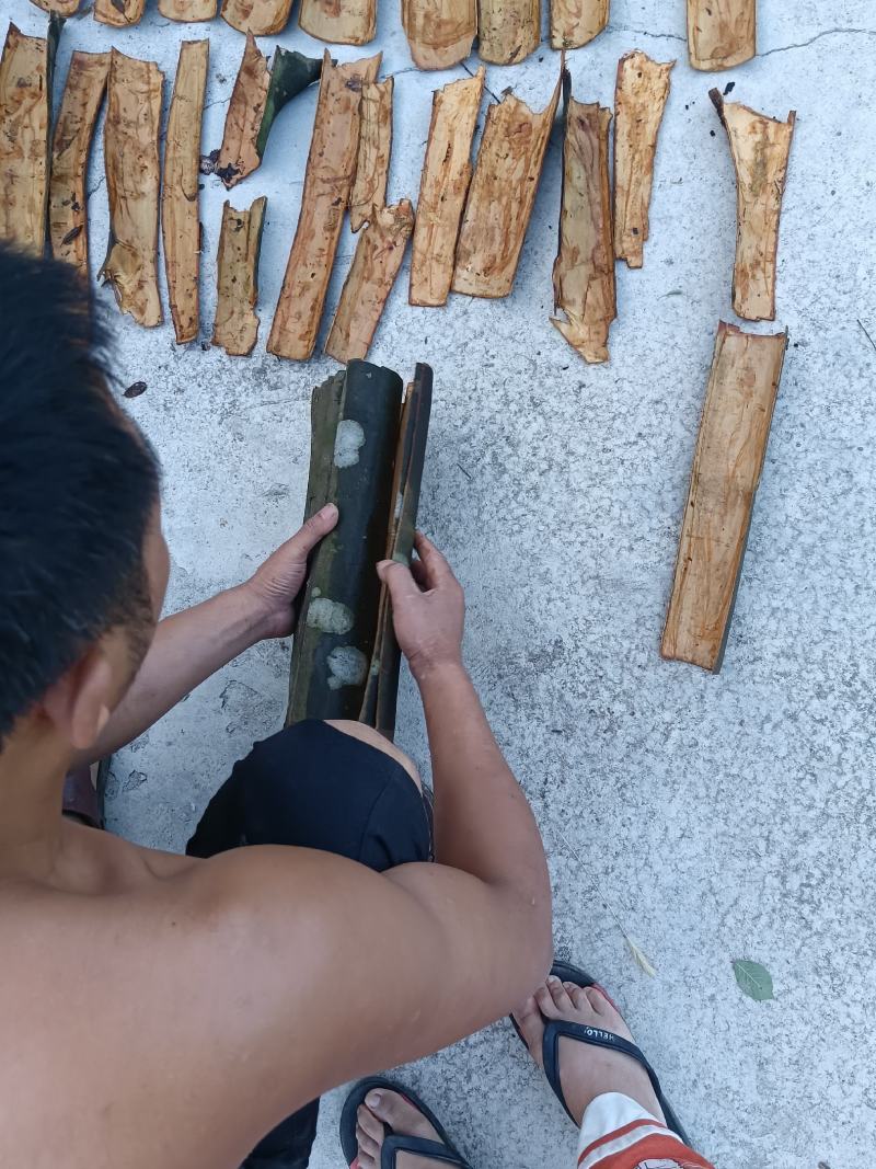 【产地直销】桂皮大量供应湖南产地直销质量上乘量大优惠