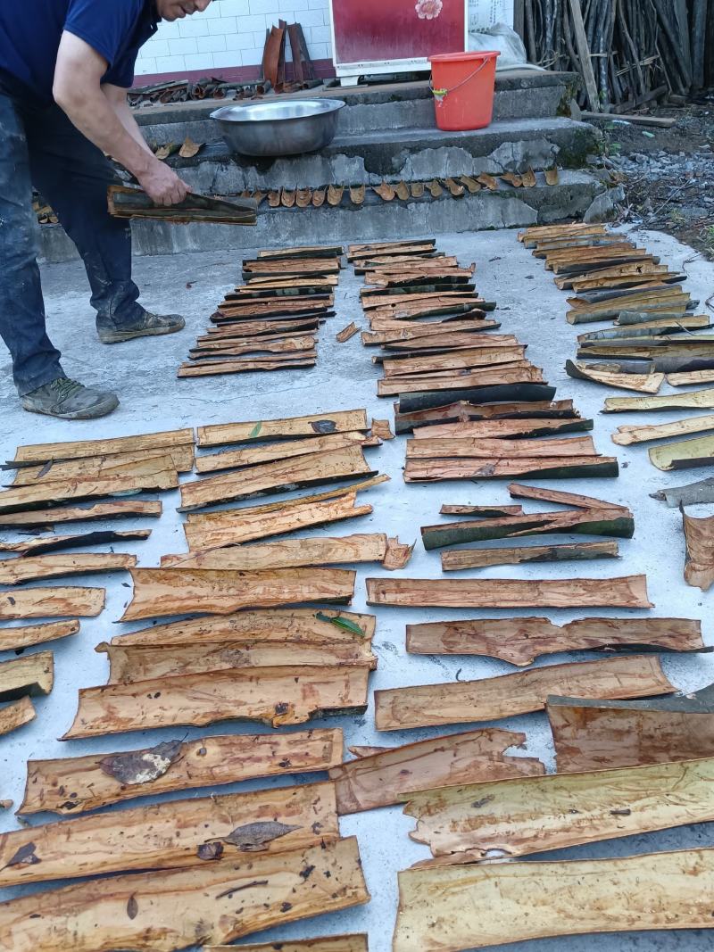 【产地直销】桂皮大量供应湖南产地直销质量上乘量大优惠