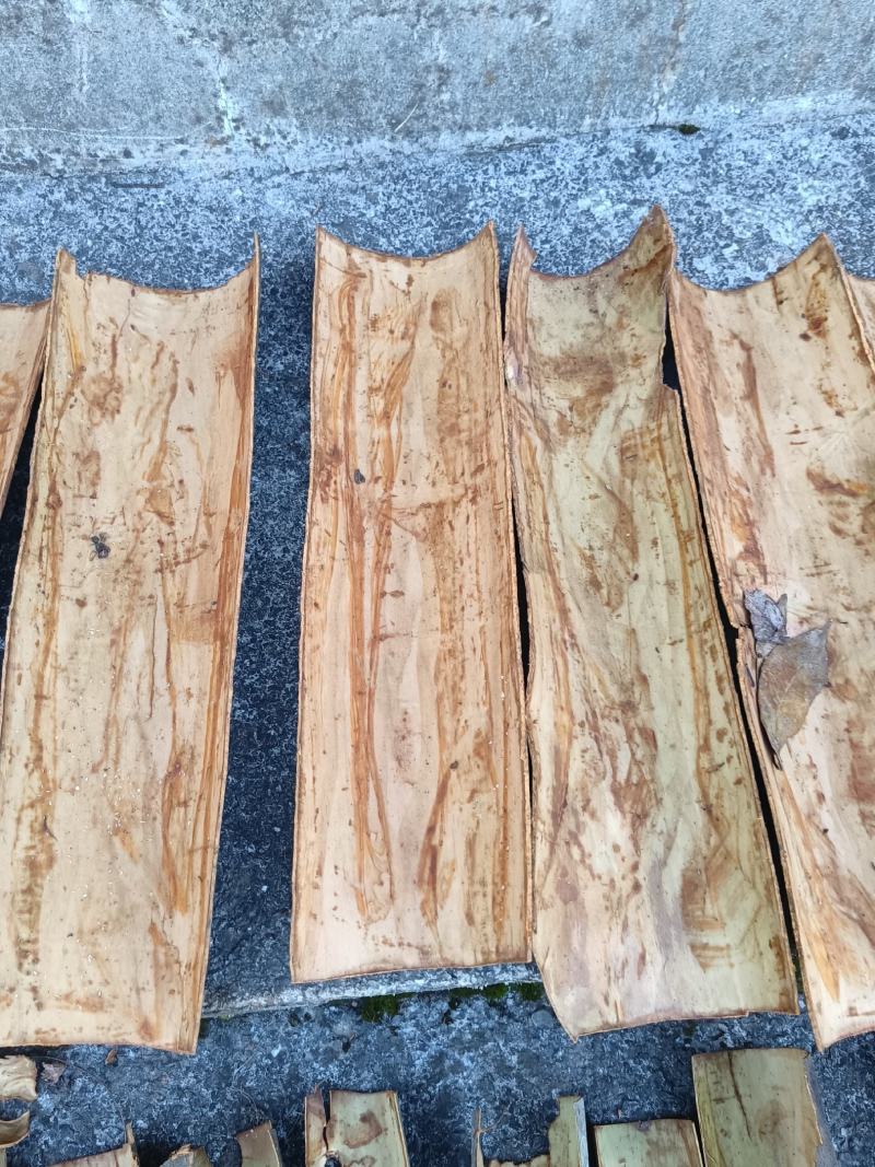 【产地直销】桂皮大量供应湖南产地直销质量上乘量大优惠