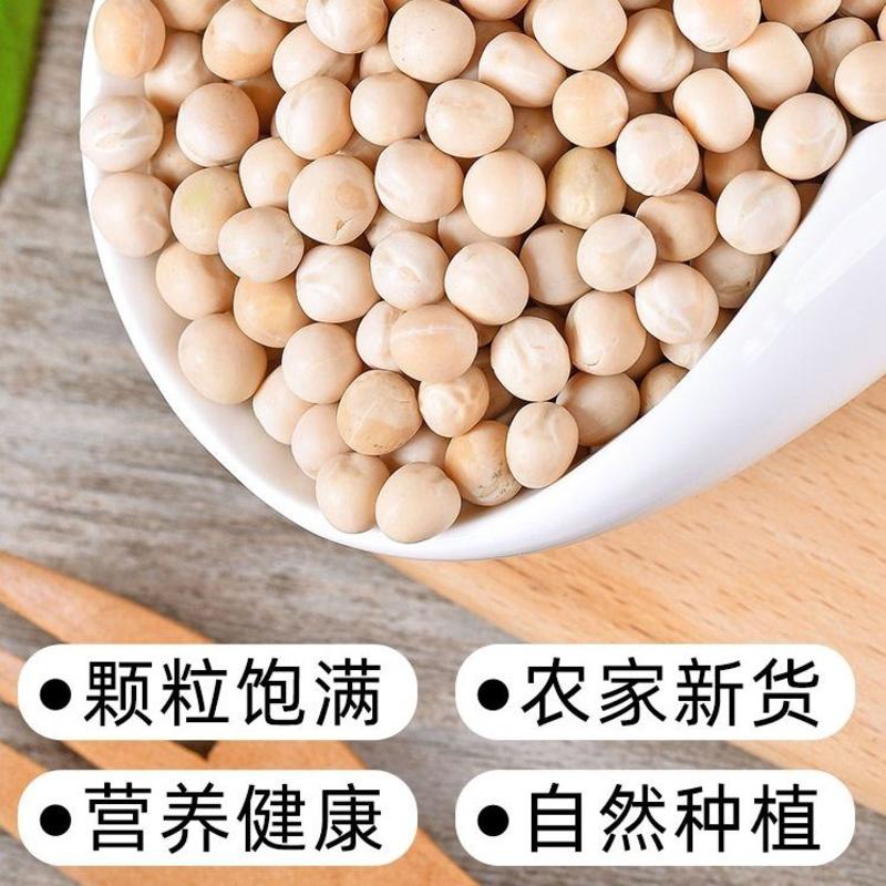 农家自产豌豆干货新货胡豆小蚕豆精选无杂物可作种子