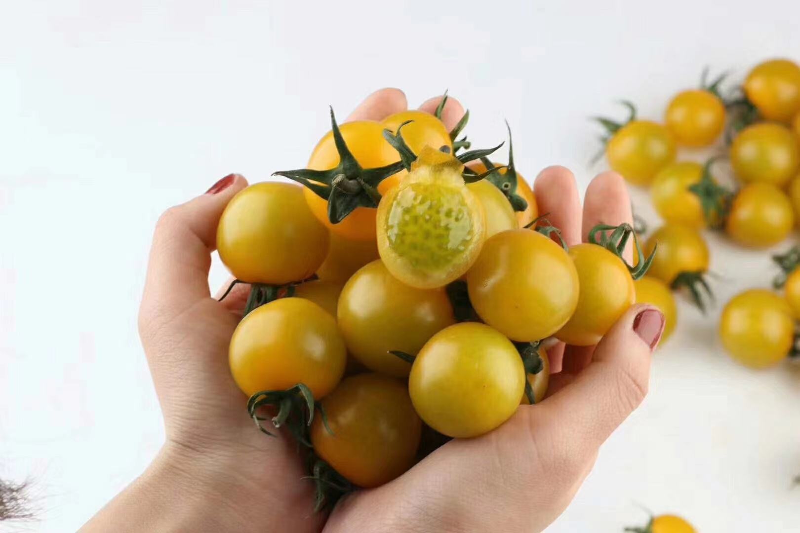 绿色圣女果用于烹饪场景