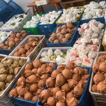 各种梨跟葡萄