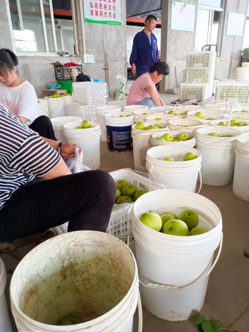 各种梨跟葡萄