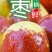 冬枣鲜枣基地直供现摘现发诚信经营脆甜多汁正宗沾化大冬枣