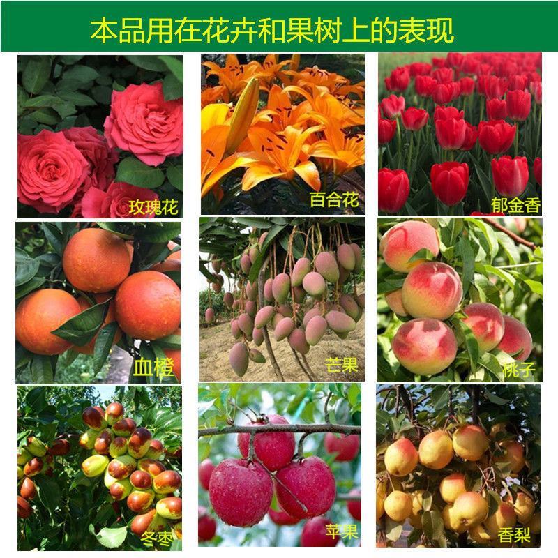 百阳垦花果丰水溶性肥料果树肥瓜果蔬菜肥营养肥