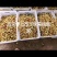 马牙枣上市了
