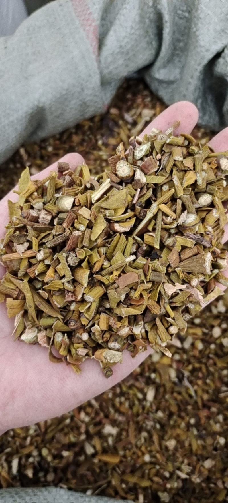 寄生寄生槲寄生统货今年新货地道药材紫轩堂药业