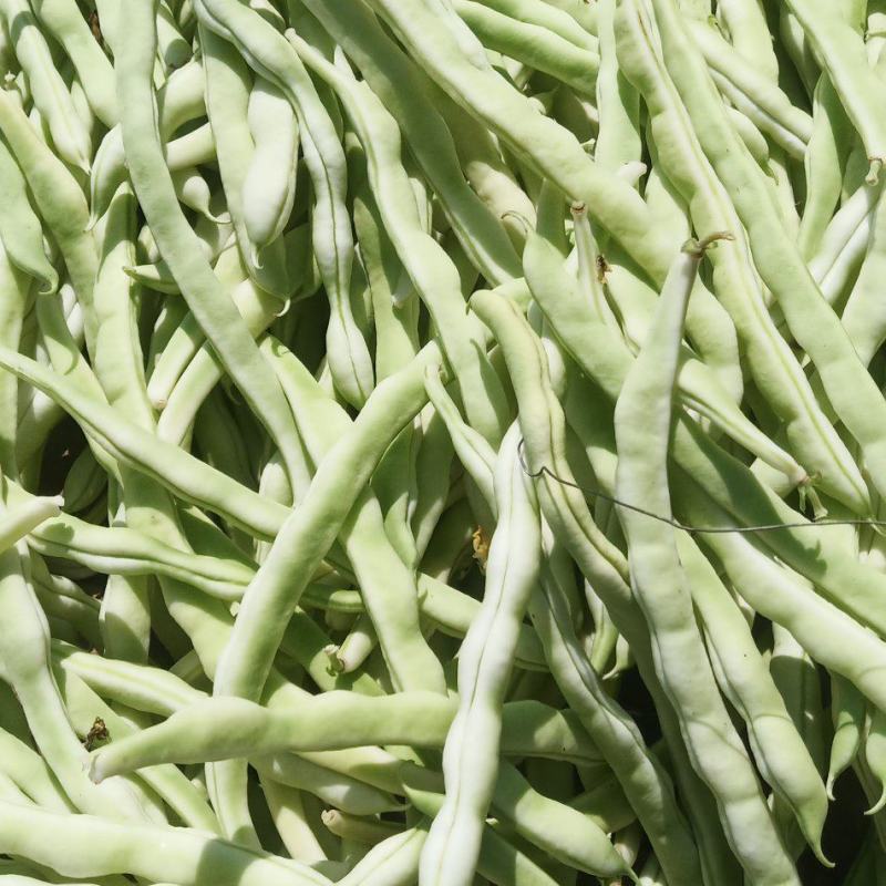 豆角辣椒