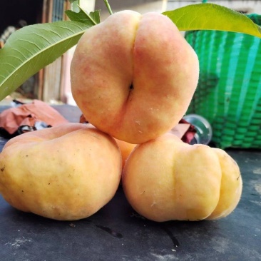 蟠桃
