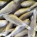 东海小黄鱼规格；4-6/6-8/带头，去头有货