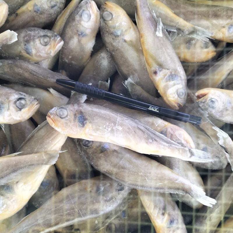 东海小黄鱼规格；4-6/6-8/带头，去头有货