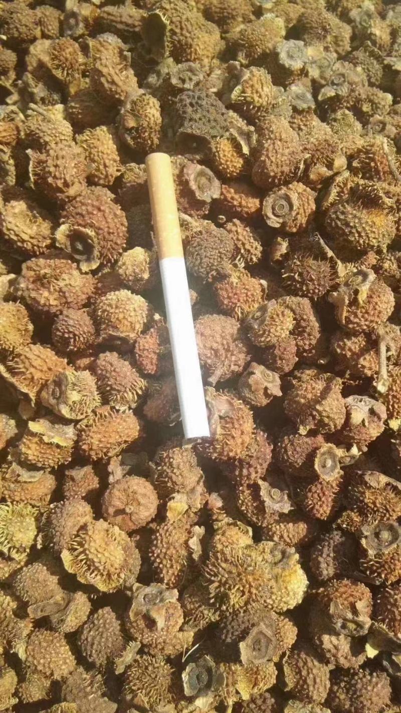 贵州野生刺梨果干无硫干净无杂个大色黄泡酒泡茶