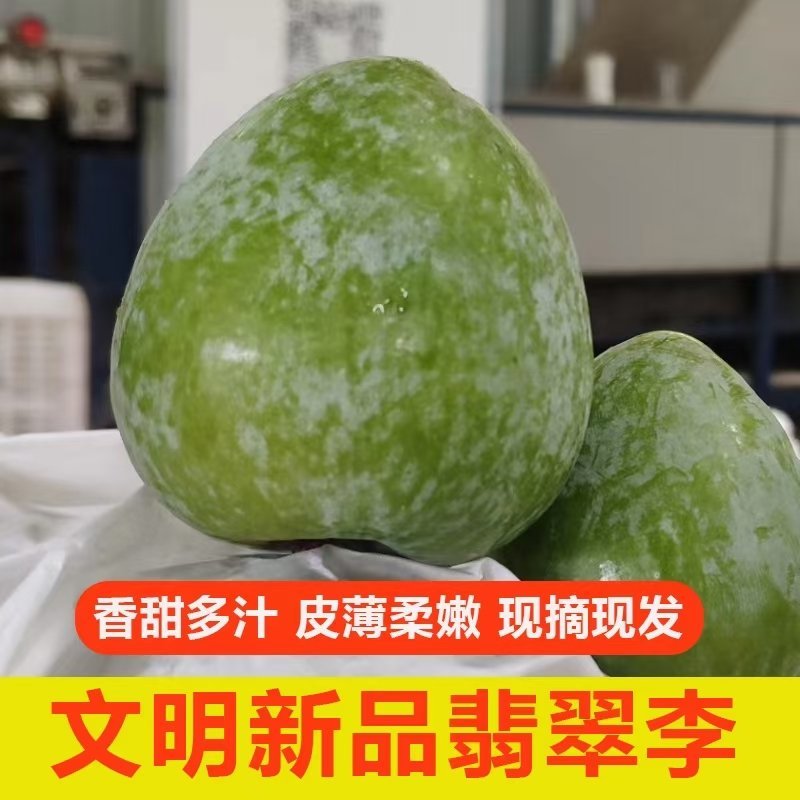 湖南文明半条被子水果之乡翡翠奈李