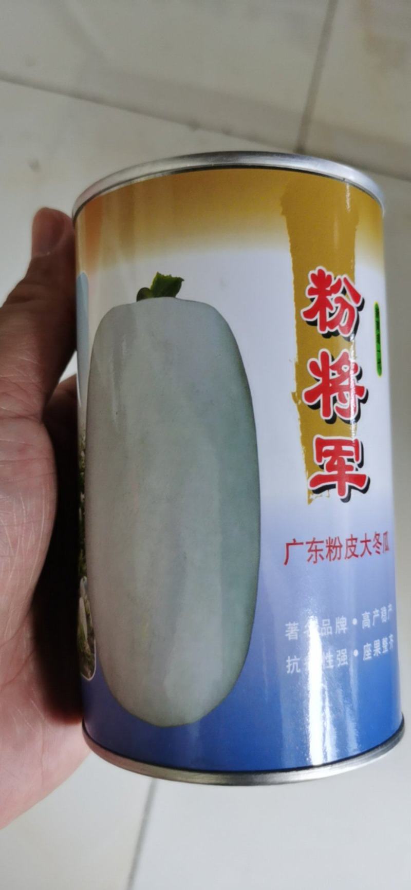 广东粉皮大冬瓜种子粉将军种籽巨型特大高产大面积种植