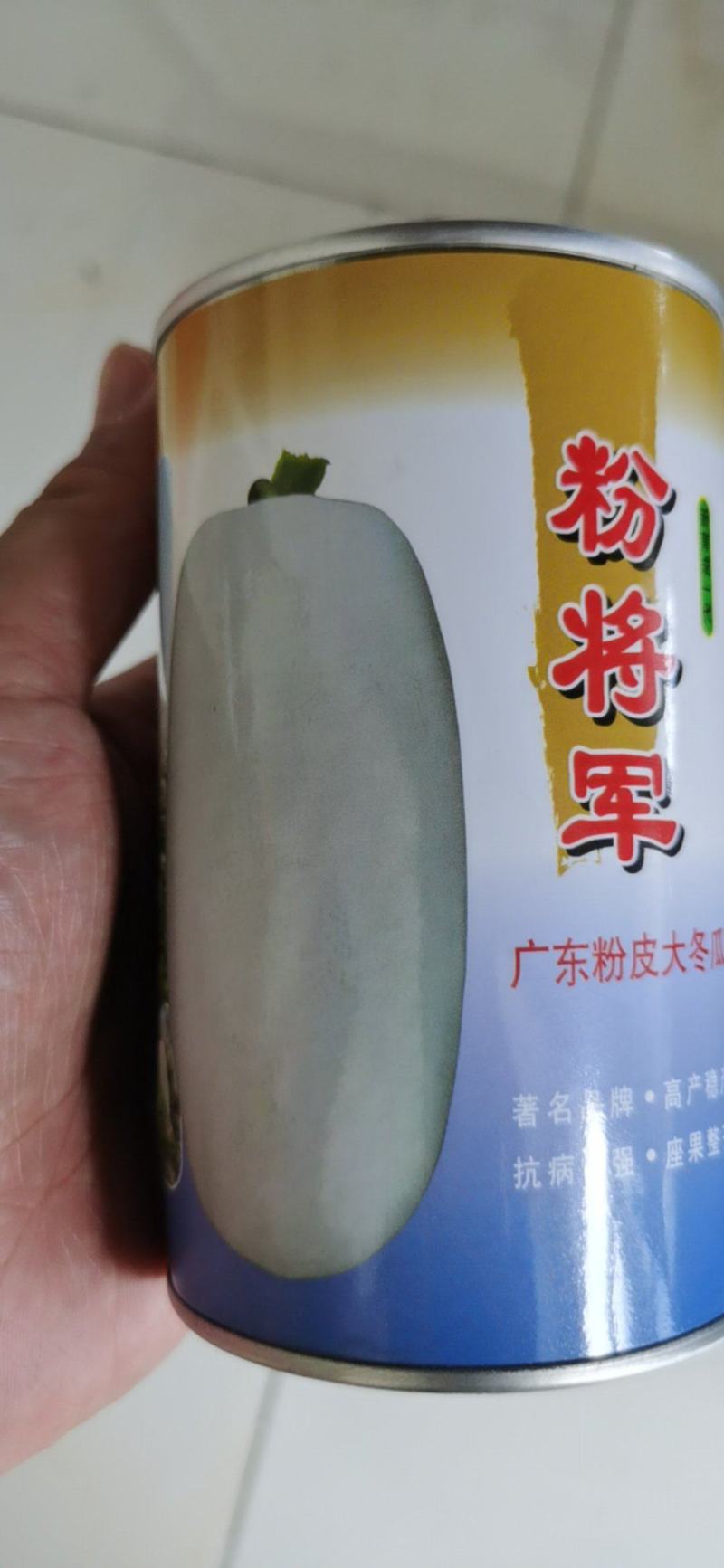广东粉皮大冬瓜种子粉将军种籽巨型特大高产大面积种植