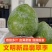 湖南文明半条被子水果之乡翡翠奈李