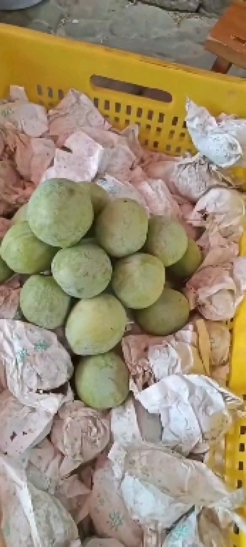 湖南文明半条被子水果之乡翡翠奈李