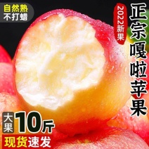 陕西红富士苹果带箱十斤二十四个装脆甜包邮一件代发