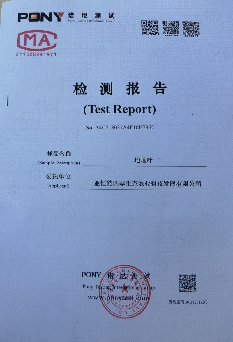 红薯叶红薯尖地瓜叶番薯叶（富硒零农残）