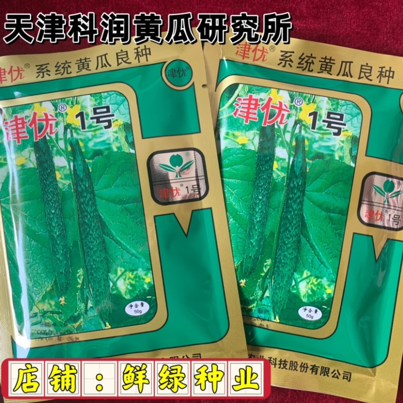 津优1号：瓜把短、瓜色深绿商品性好，果肉绿色质脆品质优