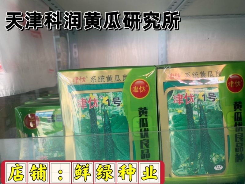 津优1号：瓜把短、瓜色深绿商品性好，果肉绿色质脆品质优