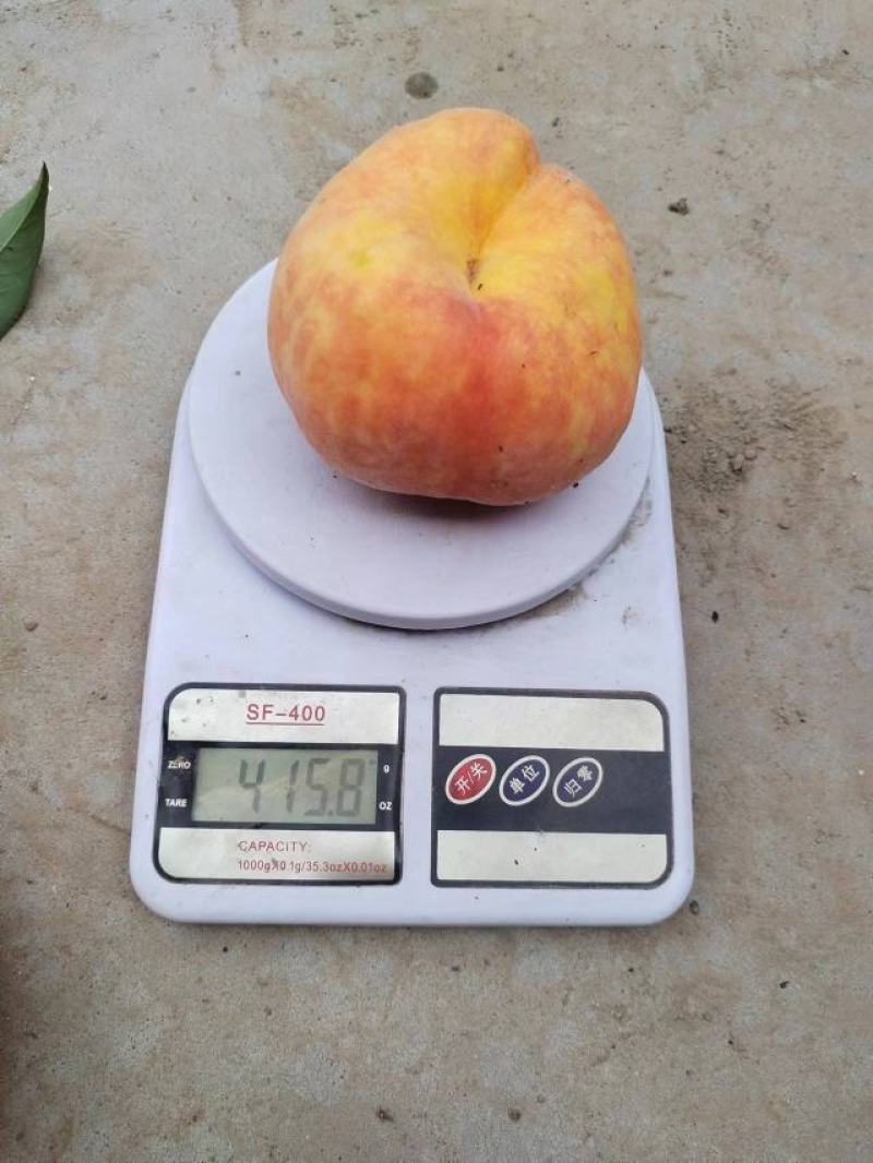 黄金蟠桃
