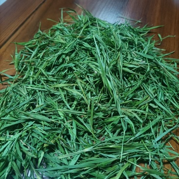 石竹茶