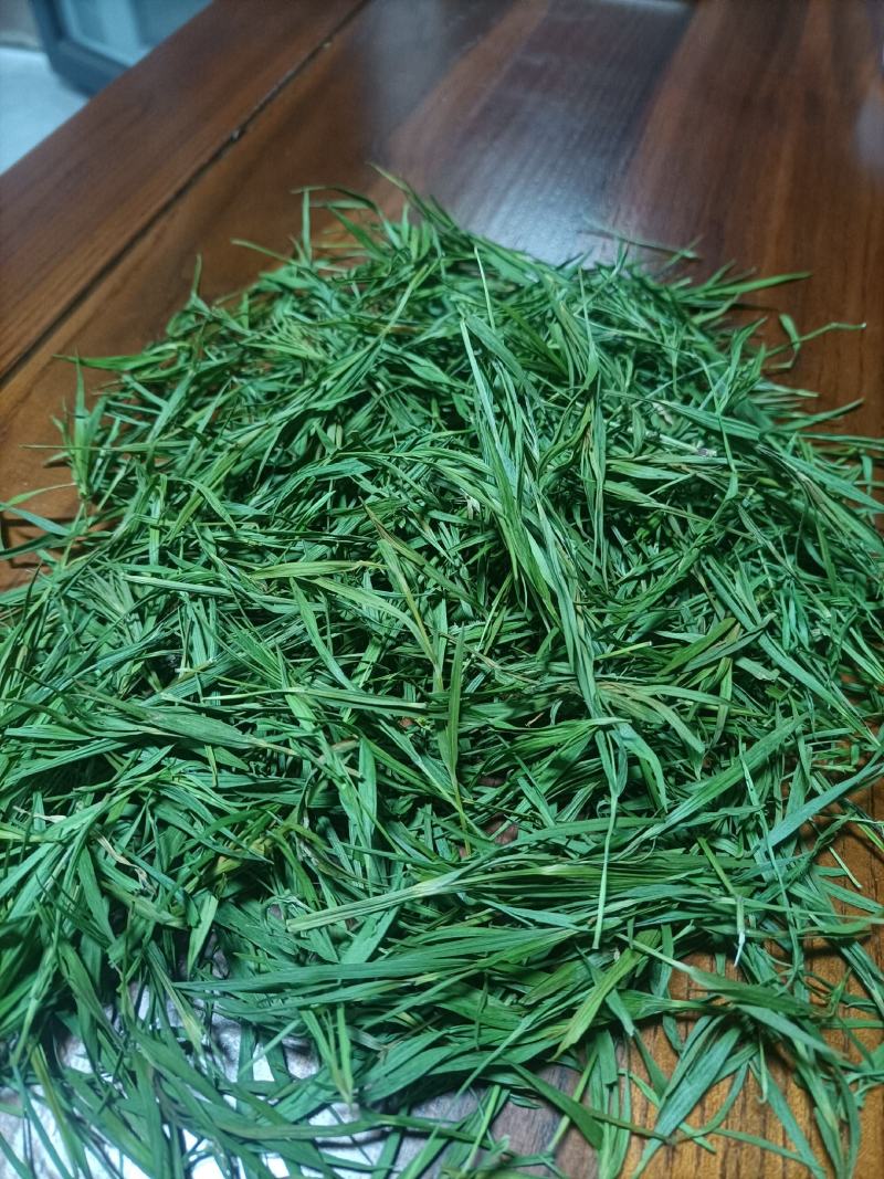 石竹茶