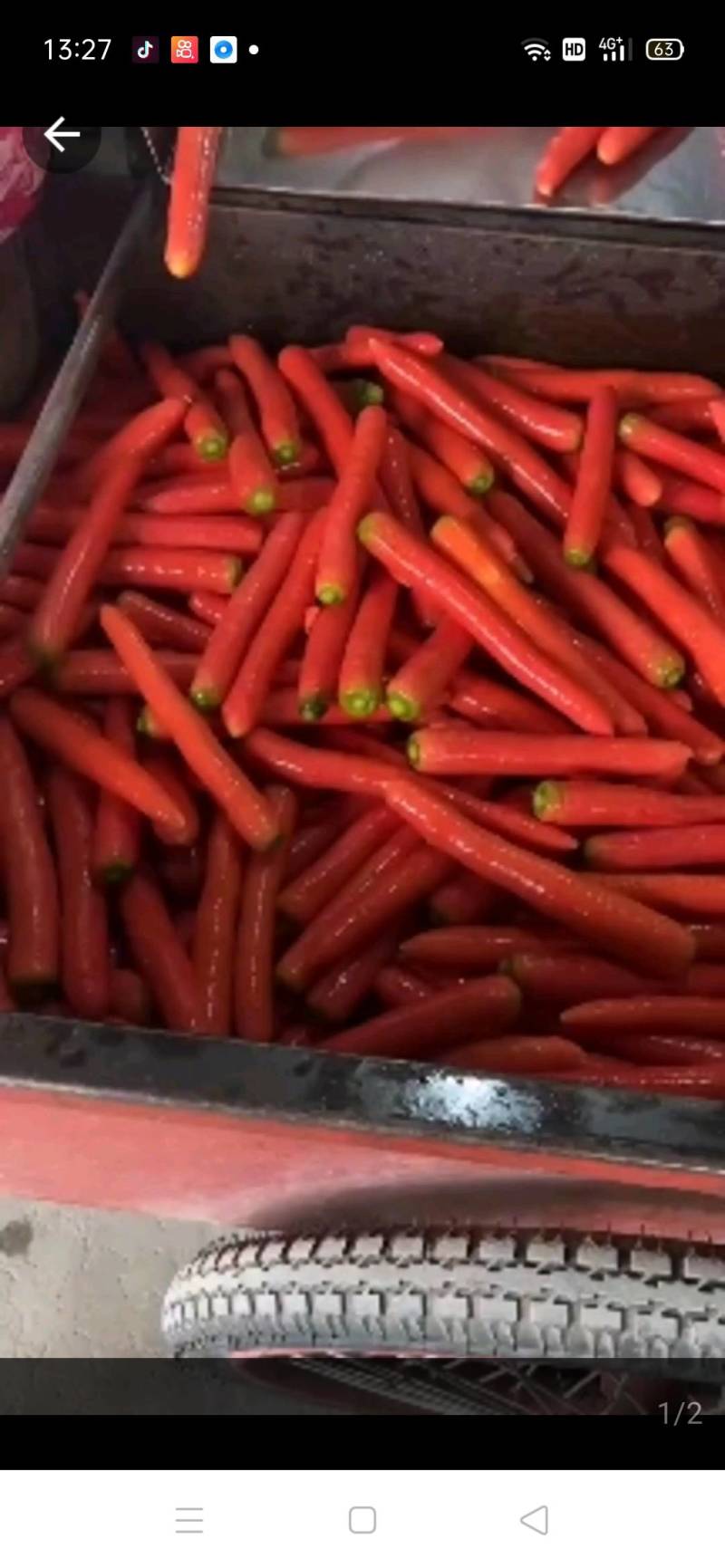 红萝卜大量上市全水洗保证质量欢迎订购