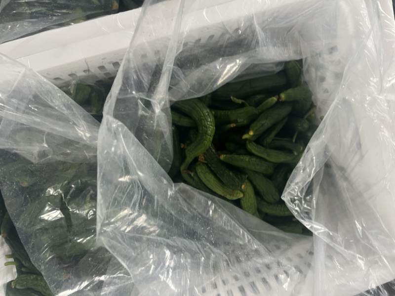 小黄瓜咸菜半成品大量有货酱菜专用，咸菜专用。专业