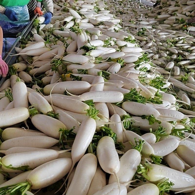 好货不等人