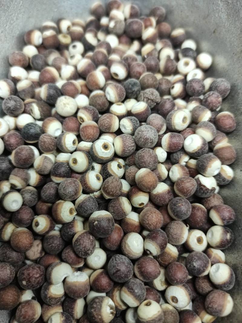 玛咖玛咖片黑玛咖片各种养生花茶中药材批发