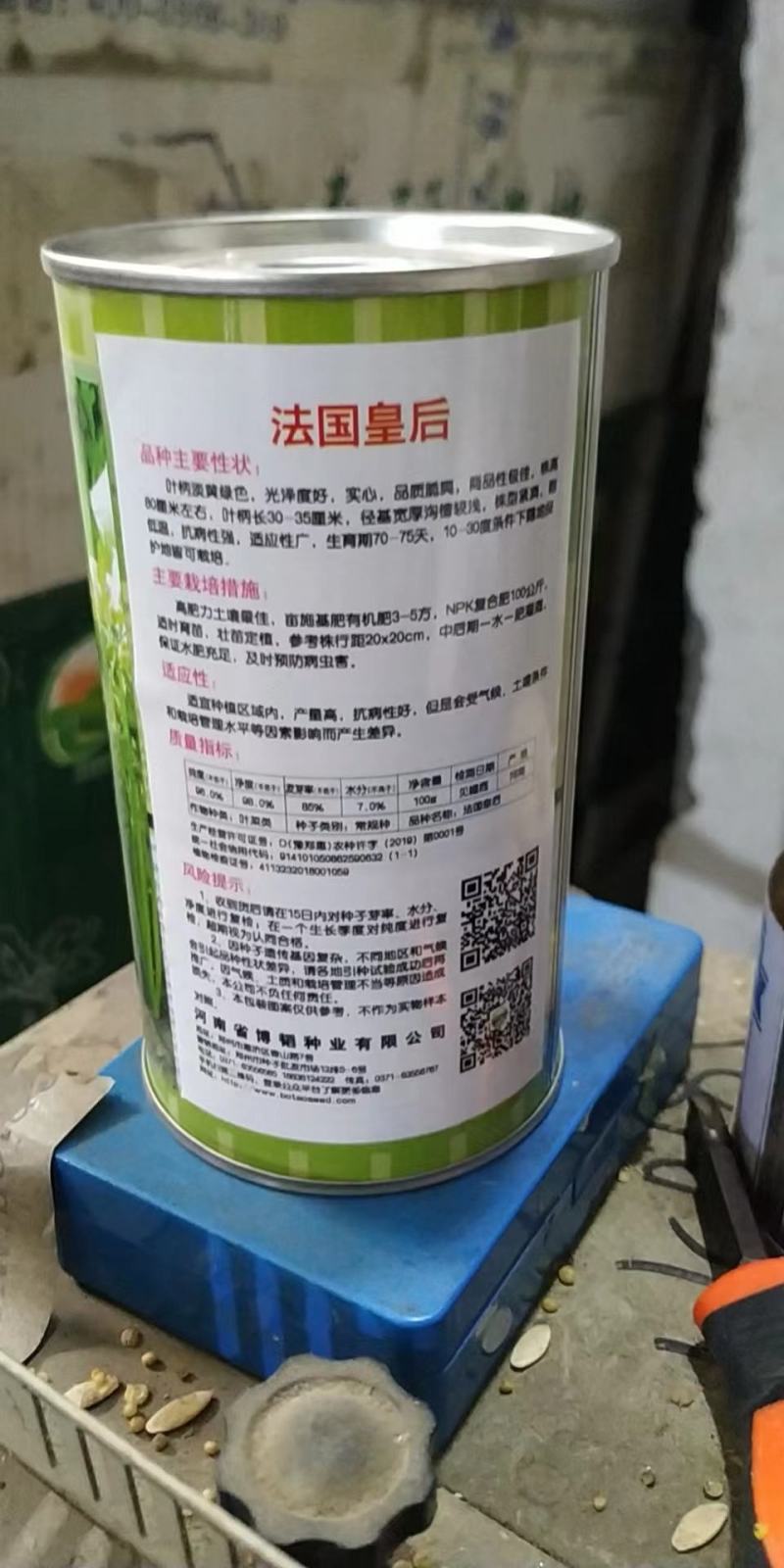 法囯西芹种子抗病性强实心囗感好经济效益高
