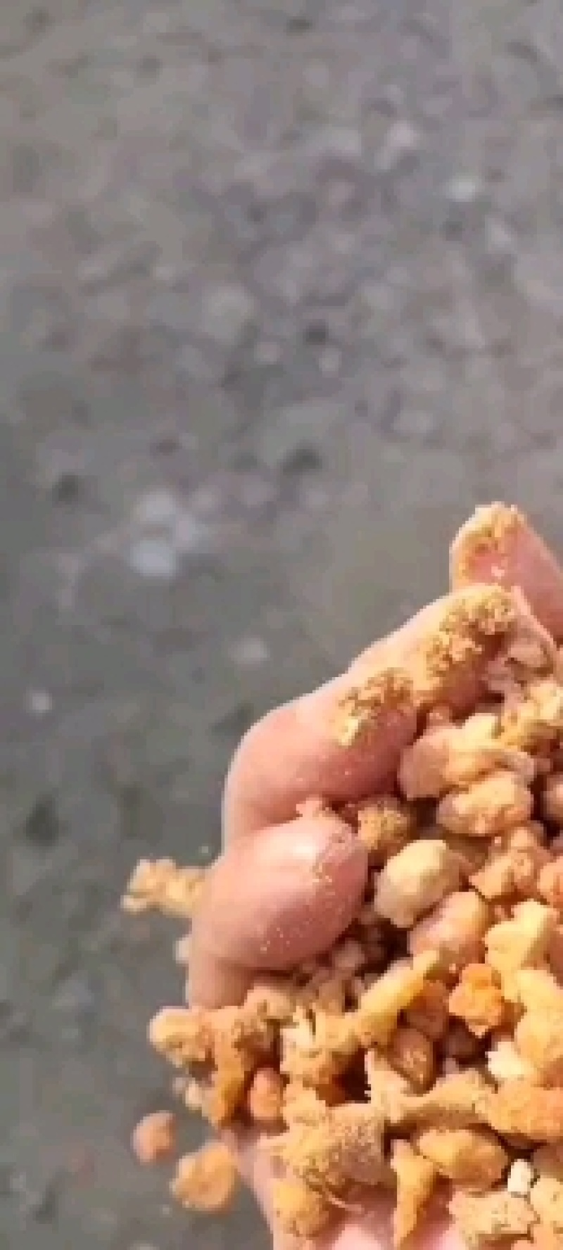 肯德基油渣食品厂油渣，饲料用榨油用的都有