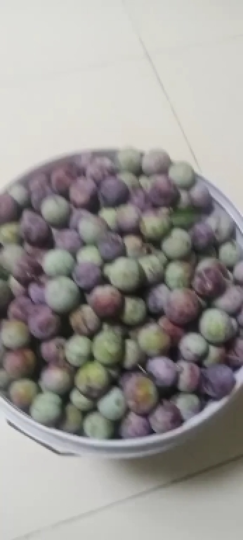 脆红李子