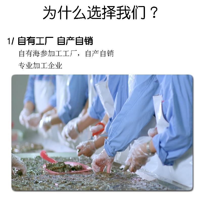 淡干海参精品辽参淡干海参干货各类规格无糖无料微冻工艺