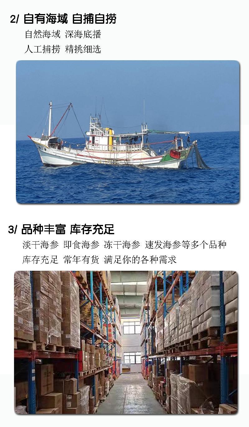 淡干海参精品辽参淡干海参干货各类规格无糖无料微冻工艺