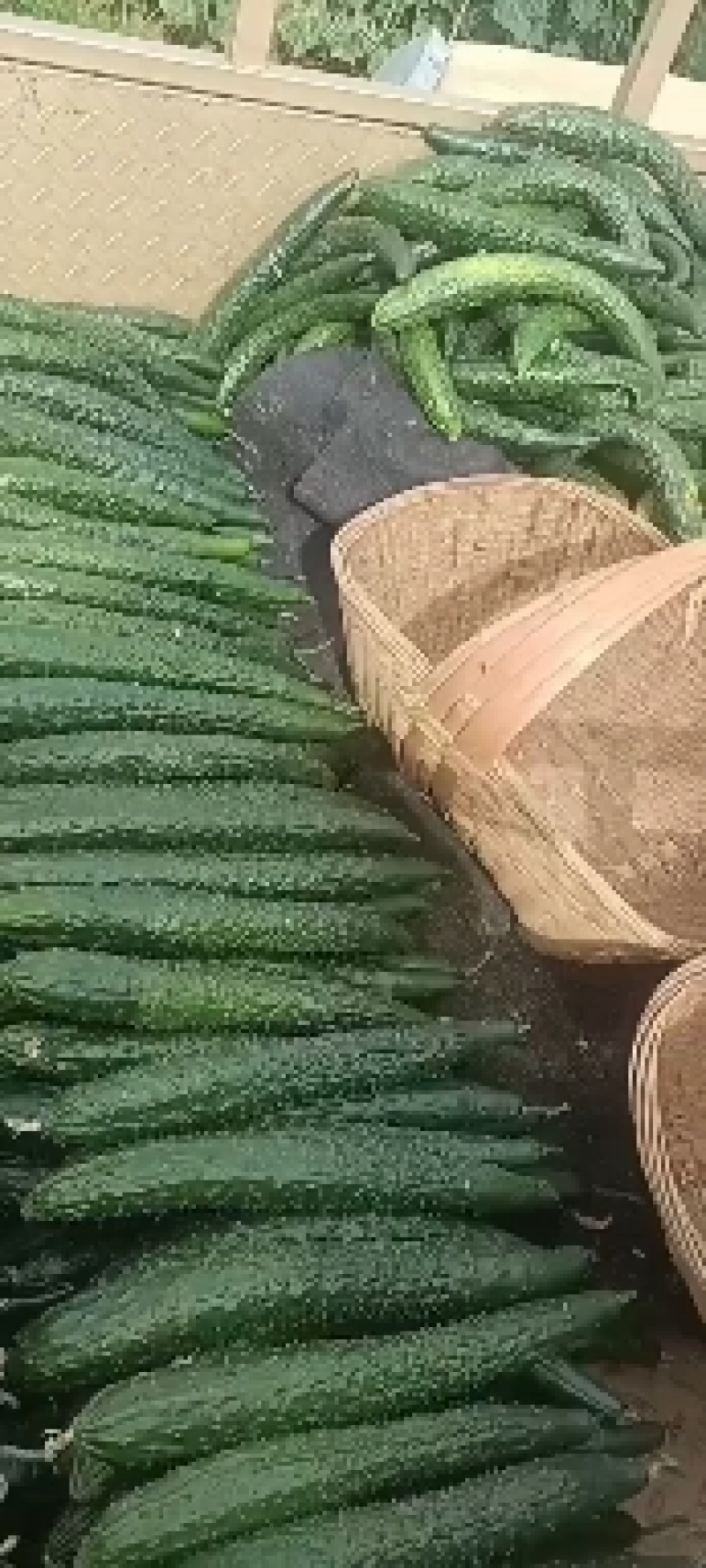 大掉价了