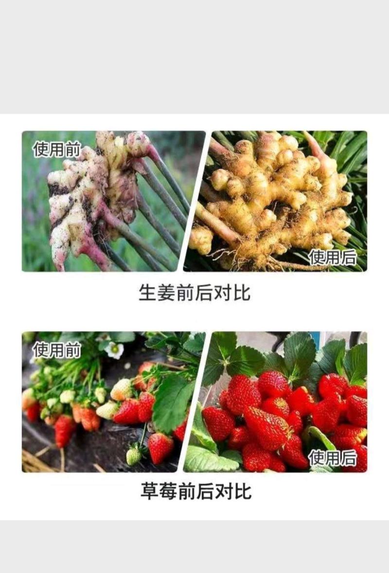 微量元素水溶肥，硼锌锰铁镁钙硅，保花保果膨果上色，防裂防