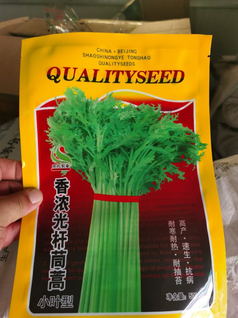 茼蒿菜种子小叶茼蒿种子小叶光杆茼蒿种子质量保证