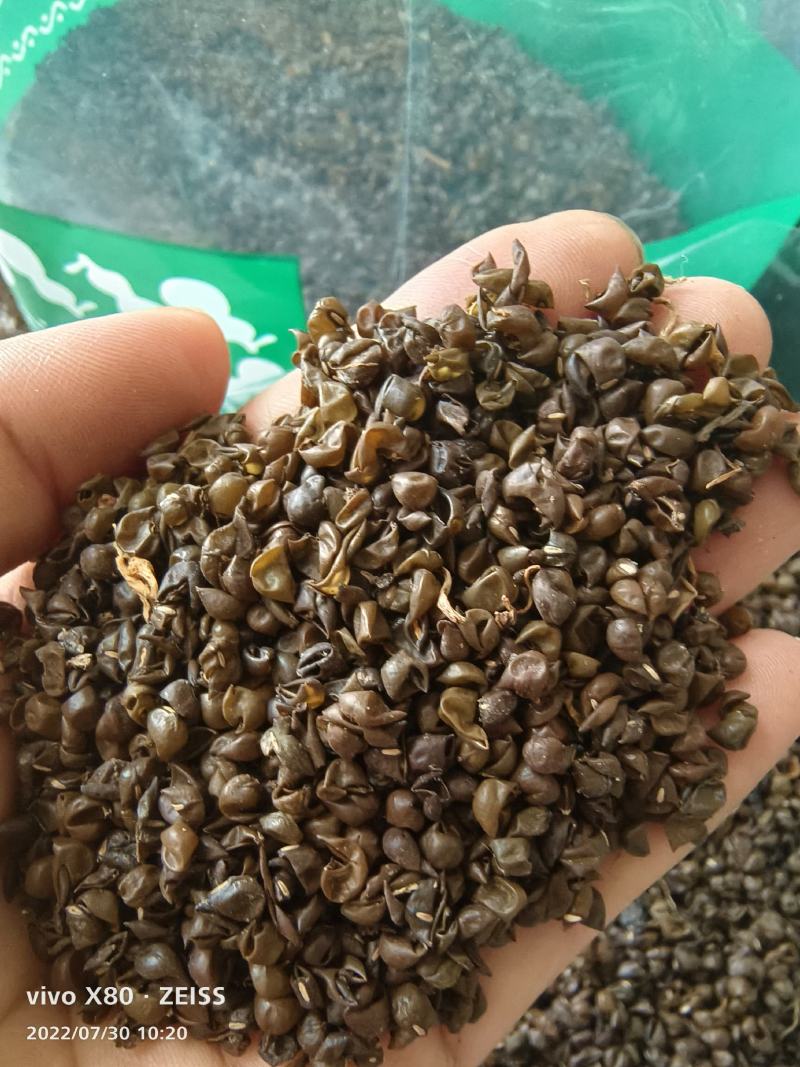绿豆衣中药材无硫干货干净无杂中药材大全可做药枕