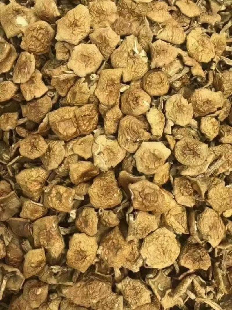 滑子菇，产地直发，货源充足，质量不错，品质优良。