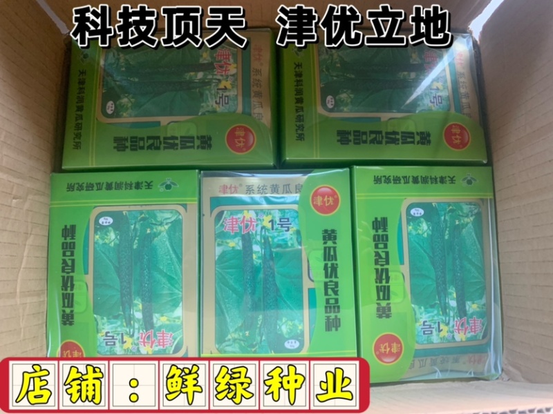 津优1号：瓜把短、瓜色深绿商品性好，果肉绿色质脆品质优