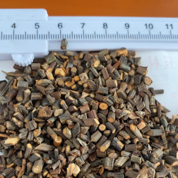 广东桂枝一手货源量大从优规格齐全欢迎来电